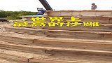 世界上最高的沙雕，好看吗