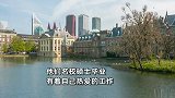 90后情侣3年攒100万，拿着购房款裸辞飞荷兰旅居：花光首付！
