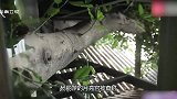 杨丽萍月亮宫现被查封，内部肮脏不堪，网友纷纷表示封的好