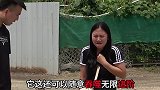防不胜防啊......