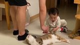 昨天有人问我为啥不教育孩子，你去问问我的猫吧！