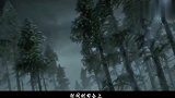 魔道祖师：蓝忘机对魏无羡单膝下跪，魏无羡愣住了