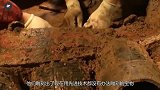 发掘兵马俑时出现怪事，专家都不敢挖下去了，网友：太吓人