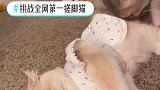 拿jiojio搓脸跟个热点挑战全网第一搓脚猫 2021新春日记