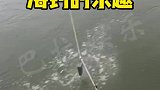 钓鱼人的乐趣，你们永远不懂