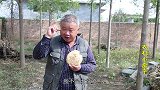 农村公公吃烧饼，看见桌子上一箱烧鸡，儿媳妇说了啥？公公真高兴