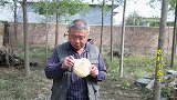 农村公公吃烧饼，看见桌子上一箱烧鸡，儿媳妇说了啥？公公真高兴