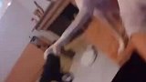 狗子家里没有我迟早得散