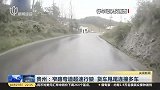 贵州：窄路弯道超速行驶，货车甩尾连撞多车