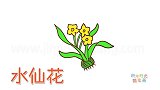 植物简笔画大全，画可爱的水仙花简笔画
