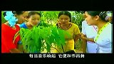 中国自然奇观-20111227-热带风光-西双版纳奇花异木
