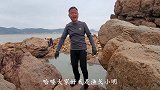 水坑抽干后鱼群聚集巨石下，发现一条大石斑格外抢眼，小明乐开花