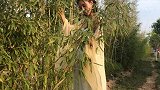 再无相见日子里，请你保重