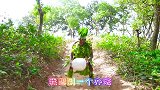 野人追赶恐龙蛋，竟然惹怒众人，他会怎么样呢！