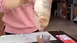 几秒钟杀一条鱼，这效率杠杠的