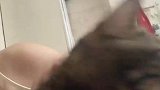 猫咪被女生亲亲后满脸震惊，完了我不干净了