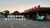 官方辟谣被捕获豹子被咬死为假消息 搜救队：还有一只没找到