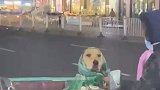 女生偶遇一个捡废品的阿姨