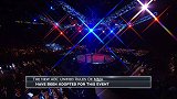 UFC-17年-格斗之夜第117期埼玉站主赛全程（英文解说）-全场