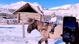 游客邂逅骑马“小王子”，看到他独自在路上，直呼好厉害