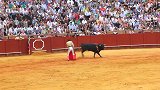 史上最残忍西班牙斗牛一剑穿心，万人欢呼