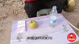 小伙摆摊，把苹果放进瓶子里给一沓钱，不想美女真的做到了
