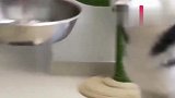 这苦瓜也太水灵了！好吃啊！