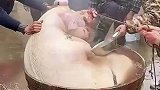 仰着头泡着澡，舒服一秒是一秒