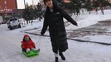 东北特有的出行方式！东北家长拉犁送娃上学：南方小朋友羡慕着呢