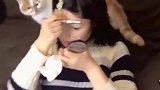 女主人在化妆, 猫咪使劲一拍, 这画的没眼看啊