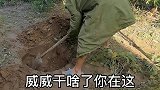 农村搞笑段子