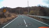 一群野猪想封锁马路，不料一辆车开了过来，场面瞬间失控了！