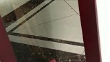 鹦鹉回到家，还会敲门，听懂说的什么了吗