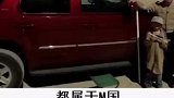 这个国家真的好小啊