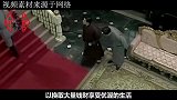 河北一弹棉花的老人，潜藏东陵十余年，差点把清朝皇陵搬空