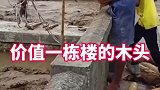 价值一栋楼的木头,太费劲了