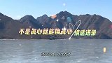 情感语录，不是所有真心，都能换真心