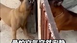 最怕的就是空气突然安静啊