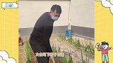 大衣哥菜园锄地，穿着油光锃亮的皮鞋还戴口罩，被质疑是摆拍作秀
