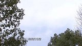女子结交高富帅男友，四处借钱帮他渡难关，哪想男友是个骗子！