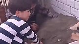 俩孩子挖坑埋狗，狗子一动不动十分配合！