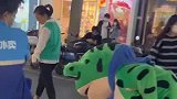 青蛙在街边撸猫，主人却担心猫被青蛙吃了，不买别乱摸