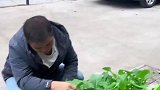 没有放过一个地方，真是勤劳的大姐。