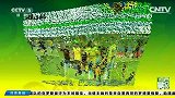 世界杯-14年-淘汰赛-半决赛-国际足联官网：蒂亚戈席尔瓦缺阵对巴西对影较大-新闻