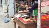 猫我胆子够大吧，这种场面我都不怕！
