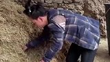 炎阳日常挨打，苍井霞因做饭怒揍炎阳！