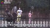 离婚后李小璐直播带货为生，贾乃亮通告接到手软，两人还能复合吗