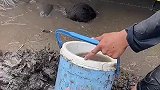 生活不容易，大家都在努力生活