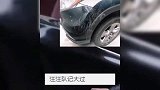 轿车深夜被划一堆划痕，男子气愤报警“他跑不了”！一查监控“凶手是条狗”