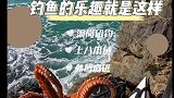 海钓的魅力在于你永远猜不到下一竿会是什么鱼，有时候还不一定是鱼！
